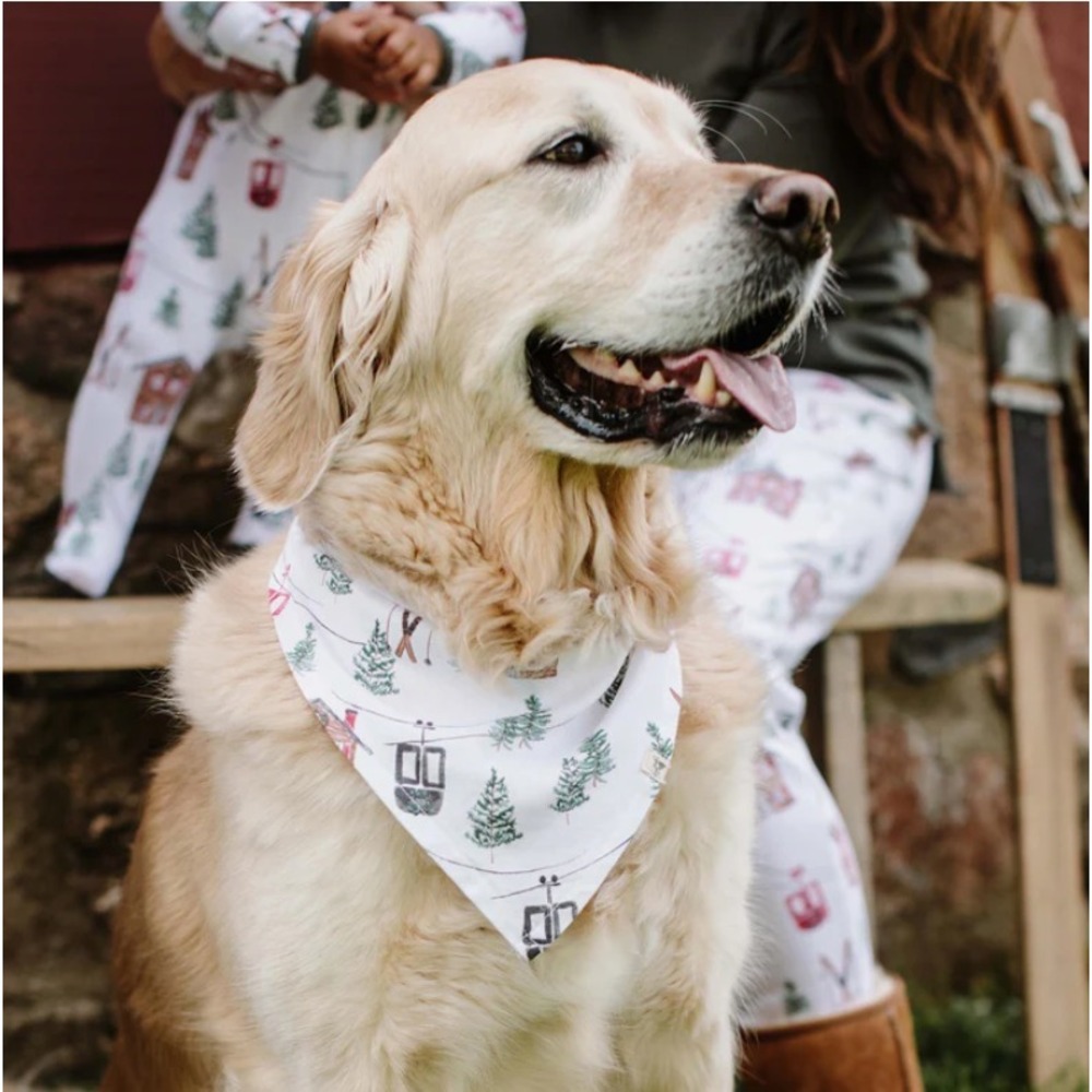 NWT Burt's Bees Organic Cotton Winter Ski Holiday PET BANDANA Matching Jammies